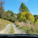 Weg Berg Straße Natur in Russland Süd Ural Scha