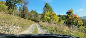 Weg Berg Straße Natur in Russland Süd Ural Scha