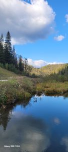 Wasser Russland Natur