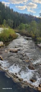 Fluss Russland Süd-Ural