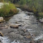 Fluss Russland Süd-Ural